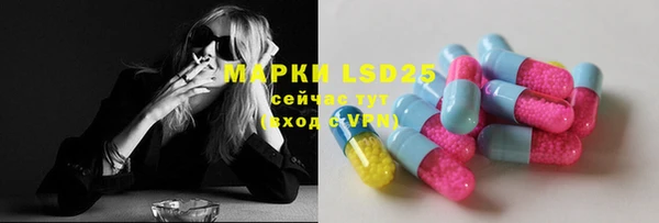 амф Козловка