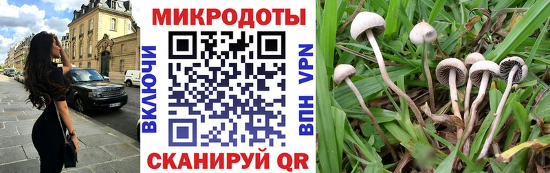 Купить где  Гай  Псилоцибиновые грибы MAGIC MUSHROOMS 