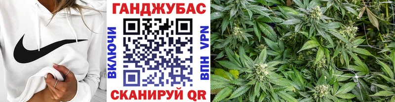 Шишки марихуана планчик  Купить  Гай 